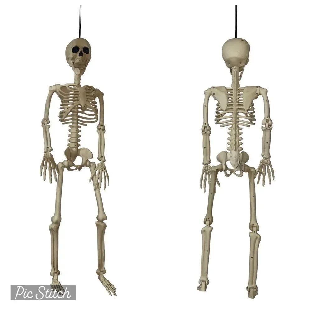 3 Foot Life Size Pose & Hold Skeleton Halloween Decoration